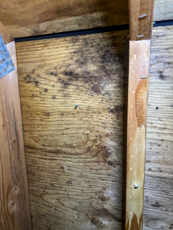 Close-up view of mold growth on wooden boards in an attic. The image clearly shows dark patches and spots of mold spreading across the wood surface, indicating moisture issues and poor ventilation. This photograph highlights the importance of regular attic inspections and the need for proper mold remediation. Ideal for content related to home maintenance, mold prevention, and attic care.