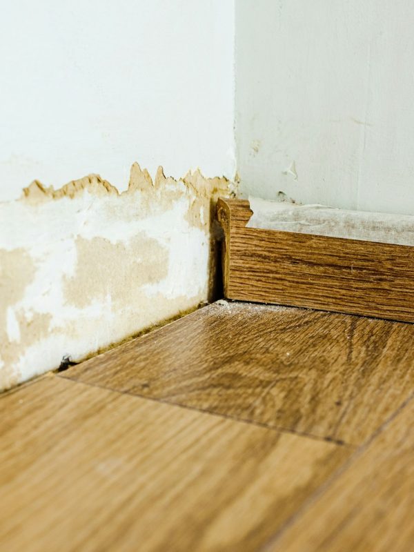 Skirting board on a wall damaged by mold.